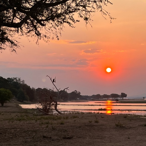 Meet your Posher, Theresa - Picture 1 of 1